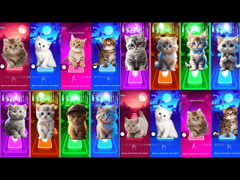 ALL CUTE CATS/PT 6 - JISOO FLOWER - IMAGINE DRAGONS - BTS   WELLERMAN - WAKA WAKA - BLOODY MARY