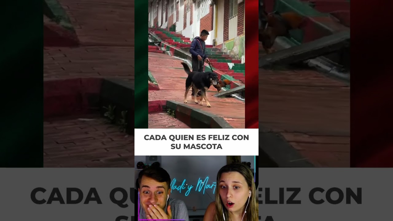 YO BIEN FELIZ CON MI MASCOTA