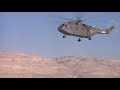 The Beast Of War Ending Scene