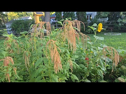 Oyer Sub-Acres Tour July 22, 2025