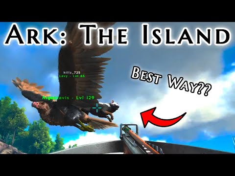 Ark Survival Evolved | The Island | The Best Way to Tame a Dire wolf! #Arksurvivalevolved #Letsplay