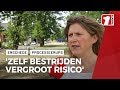 Gemeente Enschede reageert op rupsenkiller Attie