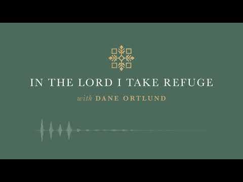 In the Lord I Take Refuge: Psalm 19 - The Law of the Lord Is Perfect