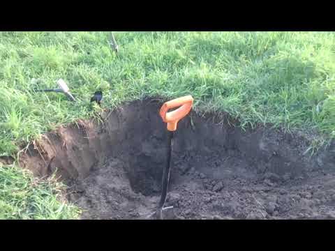 Конский коп и порядок в детском саду