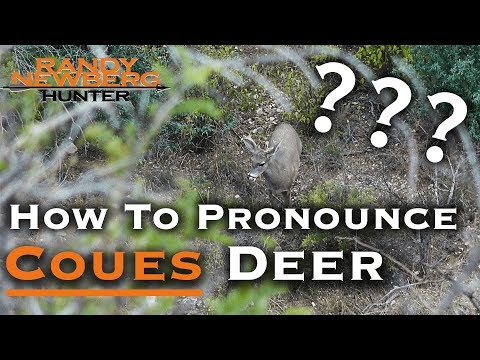 How to Pronounce Coues Deer (A Brief History)