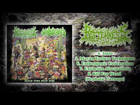 ROTTENNESS - JAPAN TOUR SPLIT 2025 [OFFICIAL STREAM] SW EXCLUSIVE
