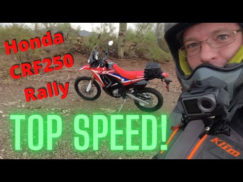 Thumbnail for CRF250 Rally Top Speed by rally