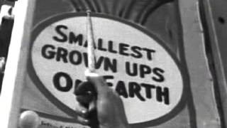 Lou Reed - Coney Island Baby