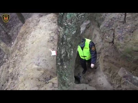 Interwencje strażników: Ziemianka w środku lasu - 18.02.2016 r.