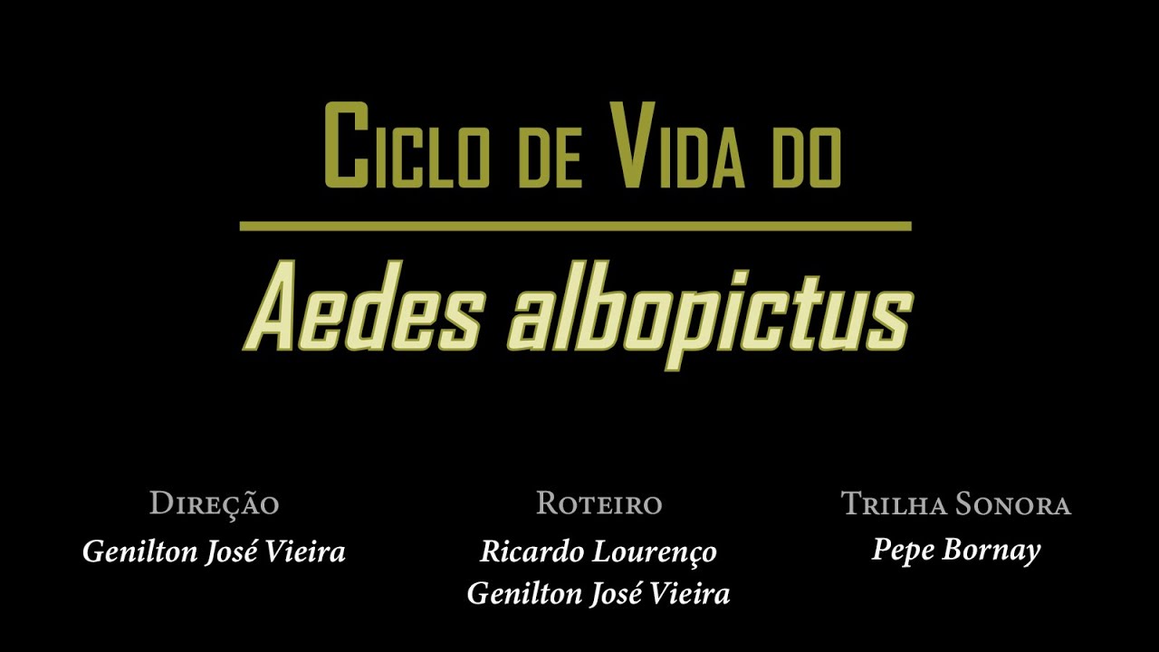 Life Cycle of Aedes albopictus (LIBRAS)