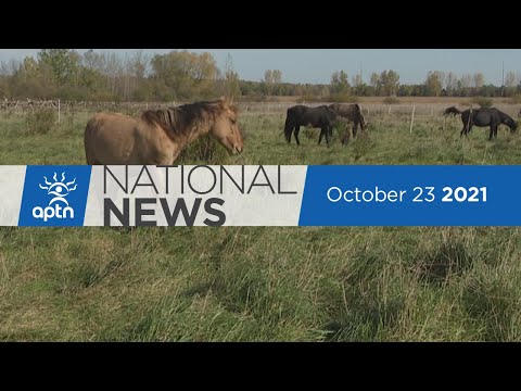 APTN National News October 23, 2021 – Governor general’s Germany visit wraps up, Calls for inquiry