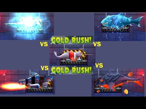 Special Sharks vs Special Sharks GOLD RUSH ! - Hungry Shark Evolution