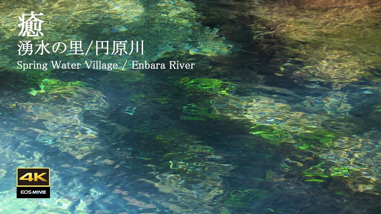 4K映像 + 自然の音 /　湧水(伏流水)の流れる円原川の美しい自然　美しいエメラルドグリーン　その３