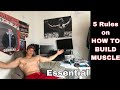 5 Rules to BUILD MUSCLE - essential | teenage Bodybuilder