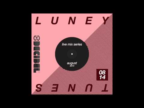 LUNEY TUNES 08.14 Verboten NYC Decibel Fest. Warm Up Mix