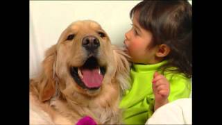 Baby Einstein Baby Dolittle - Neighborhood Animals Part 1