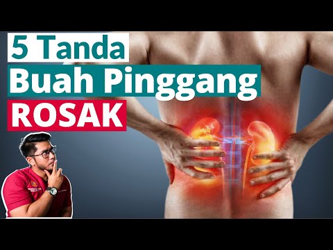 , title : 'Buah Pinggang Rosak | 5 Tanda Wajib Tahu | Doctor Sani |'