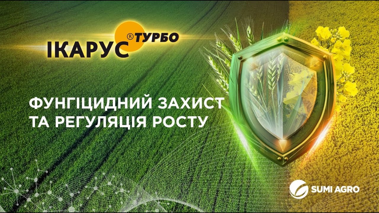 Фунгіцид Ікарус Турбо 430 SC, КС - Саміт Агро