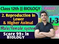 L-3 | 2. Reproduction in Lower and Higher Animal Class 12 Biology Sexual Reproduction #biology
