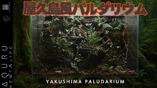 苔と湿気が織りなす屋久島風パルダリウム｜自然を閉じ込めた小さな世界