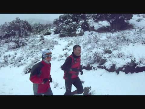Go run the trails
