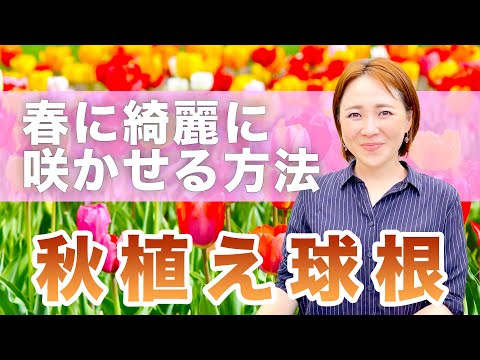 夏にきれいな花を咲かせるには、3月にどの球根花を植えるべきですか?  庭園