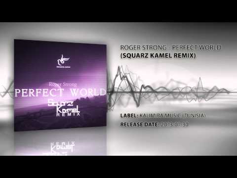 Roger Strong - Perfect World (Squarz Kamel Remix)