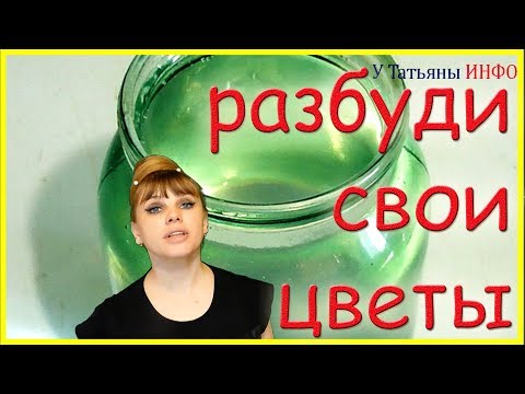 ПЕРЕКИСЬ ВОДОРОДА - разбуди комнатные растения...
