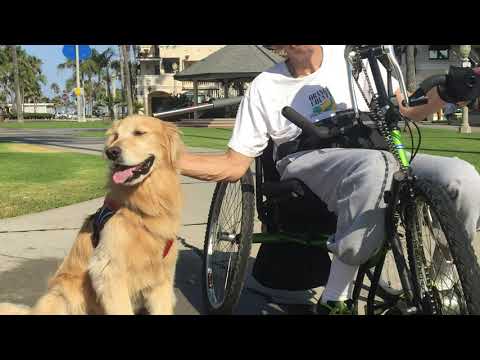Accessing the Outdoors with a disability | The Active Hands Company