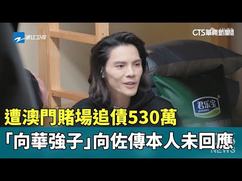 「向華強子」向佐傳遭澳門賭場追債530萬　本人未回應