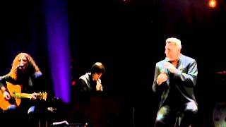 Loquillo Brillar y Brillar Directo
