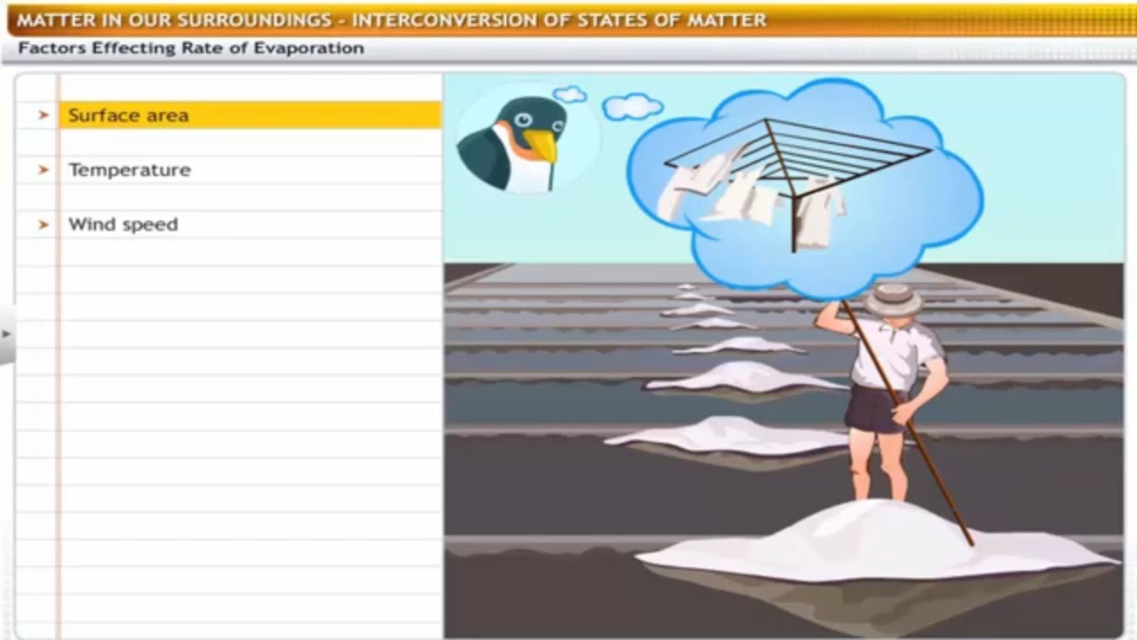 CBSE Class 9 Science -1 || Matter in Our Surroundings || Full Chapter || by Shiksha House