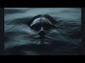 "Zeitgeist" - the Locusts