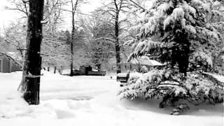 The Fallow Way (Cover)