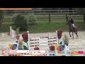 hongre selle fran&ccedil;ais 7 ans ogrion des champs cso