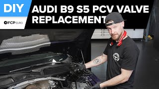 2017-2024 Audi & Porsche 3.0L/2.9L V6 Oil Separator: Tracing the