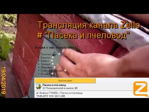Трансляция канала Zello "Пасека и пчеловод". (Обзор за день) 19/04/2019