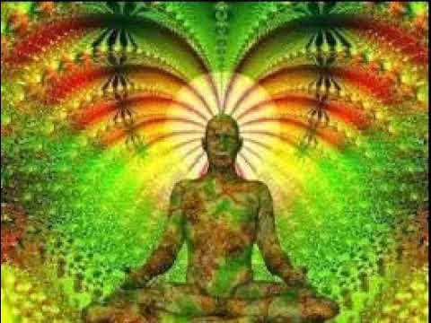 Forças da Rainha da Floresta