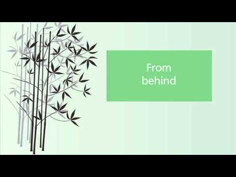 Cheng Man Ching tai chi form 1st section