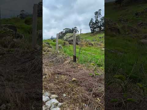 FINCA EN PASCA CUNDINAMARCA