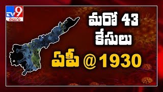 43 new COVID-19 cases in AP; Kurnool tally reaches 553