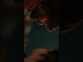 Dasara Movie Emotional Scene What S App Status Ytshorts Shorts