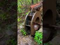 Water wheel in the Appalachian woods.