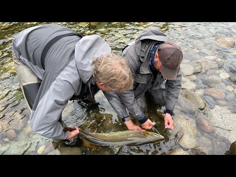 Summer fishing in River Gaula - August 2021