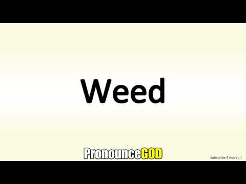 How To Pronounce Weed