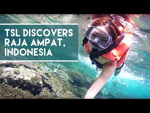 Raja Ampat - Indonesia's Secret Island Paradise - TSL Discovers Indonesia 2015: Episode 1