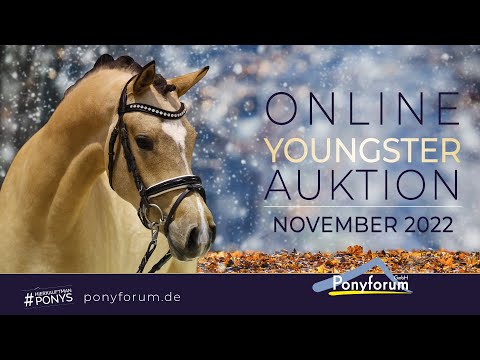 Nimmerland HW HW Hengst 2020 v. Neverland WE / FS Golden Highlight