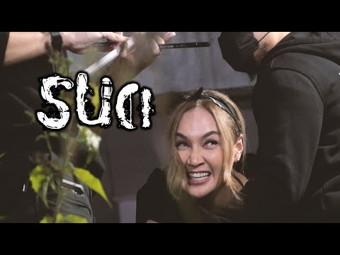 SUCI – DMS [ Penelusuran ]
