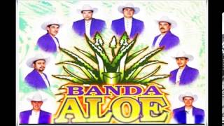 banda aloe falsa (zapotlan del rey jalisco)