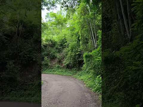 Ruta al cantón Paratao, Victoria departamento de Cabañas. #ElSalvador